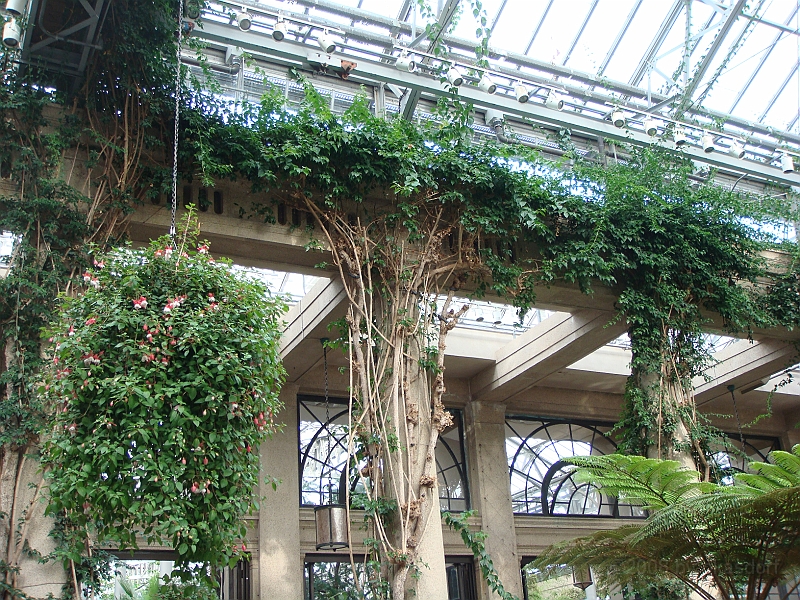 257 Longwood Gardens [2008 August 23].JPG - Longwood Gardens in Pennsylvania
